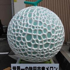 早い者勝ち 優香メロン　規格外の画像