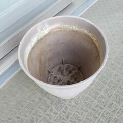 植木鉢の画像