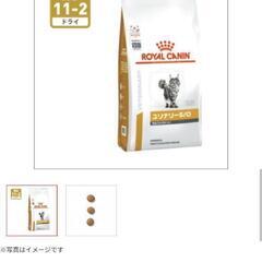 (食事療法)猫用カリカリ