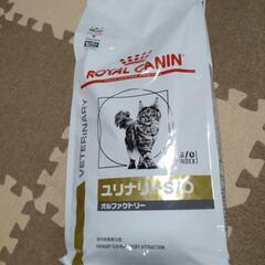 (食事療法)猫用カリカリの画像