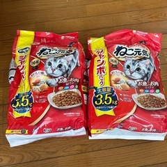 ドライキャットフード