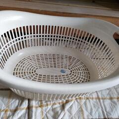ホワイトプラスチックカゴ White Plastic Basketの画像