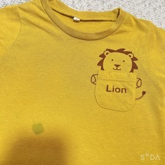 ★ Tシャツ ライオ90サイズの画像