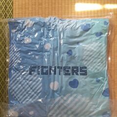 日本ハムファイターズ　クッション（伊藤・伏見）