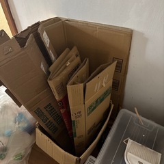 ダンボール