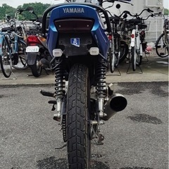YAMAHA YBR125 の画像