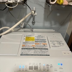 超美品　東芝　2023年購入　TW-127XM2 ドラム式洗濯乾燥機 洗濯12k 乾燥7kの画像