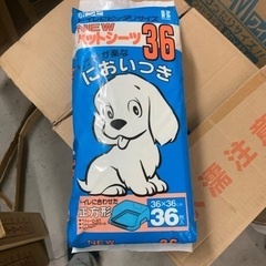 オムツ6/12.6/19現地販売