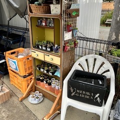 6月12日　四光めだか　めだか無人販売　横須賀市長井 - イベント