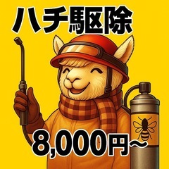 ハチ駆除やってます｜夕方対応＆8,000円〜で安心！