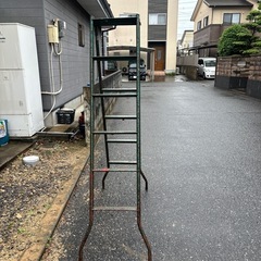 レトロな脚立6段🌵決まりました🌵