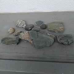 茨城の海岸の石たち