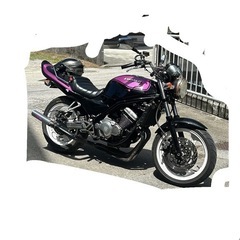 バリオス250 1型