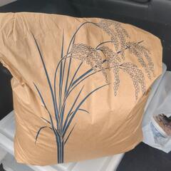 更値下 画追 令和6年度お米17キロ
