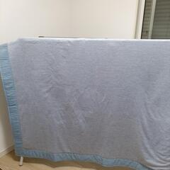 これからの季節にピッタリなカーペット