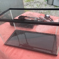 金魚ガラス水槽60cm　ポンプ　濾過器セットの画像