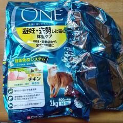 キャットフード　ONEの画像