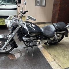 【ヒョースン　GV250EFi】ミッション アメリカンバイク　レブル　マグナの画像