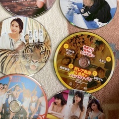 アイドル、グラビアアイドルのDVD
