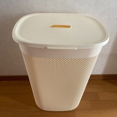 大きめカゴ