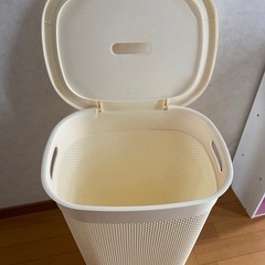 大きめカゴの画像