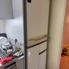 両開きの冷蔵庫