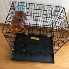 犬小屋サークルの画像
