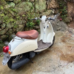 ホンダ クレア スクーピー 原付 バイクの画像