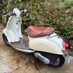 ホンダ クレア スクーピー 原付 バイクの画像