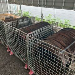 ☆新品☆ なまし番線 #10　鉄線　丸番線