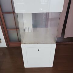 引取限定でオーバーフロー水槽、45✕45✕45