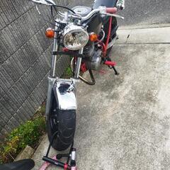 エイプの画像