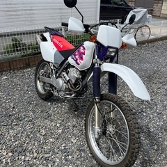 XR250 MD30