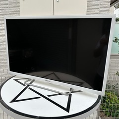 Panasonic TH-32ES500-W 32インチ液晶テレビ