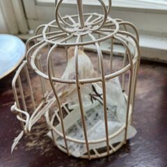 鳥かごインテリア(鳥もつけて)の画像