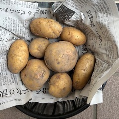 じゃがいも　　1kg