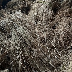 【農業、園芸にオススメ！】乾燥済稲ワラ