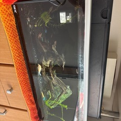 ガラス水槽セット