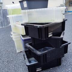 メダカ飼育用★N-BOX中、スクエアbox、発泡スチロール