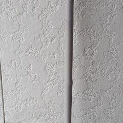 デッキブラシ　　￥500