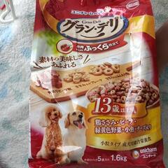 ドッグフード　