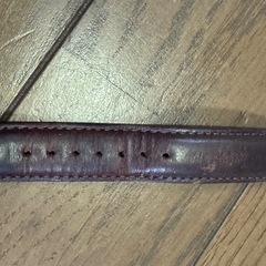 ダニエルウェリントン レディース 時計の画像