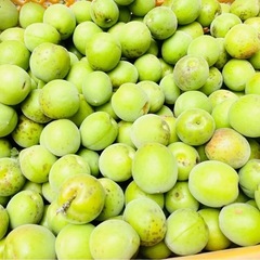 朝採り⭐︎無農薬の大粒の梅⭐︎