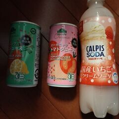 【最終値下げ】ソフトドリンク16本+桃の缶1点の画像
