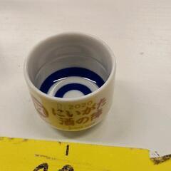 0612-133 【無料】 猪口