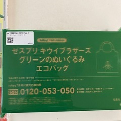キウイブラザーズエコバッグ（決まりました）の画像