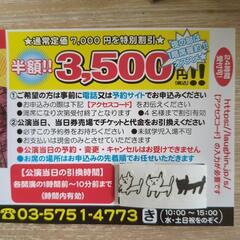 純烈　鎌倉コンサート 割引券の画像