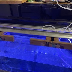 水槽の画像