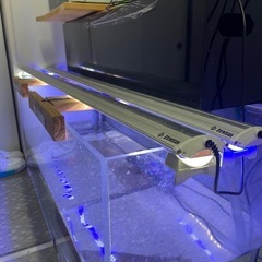 水槽の画像