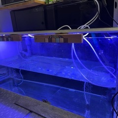 水槽
